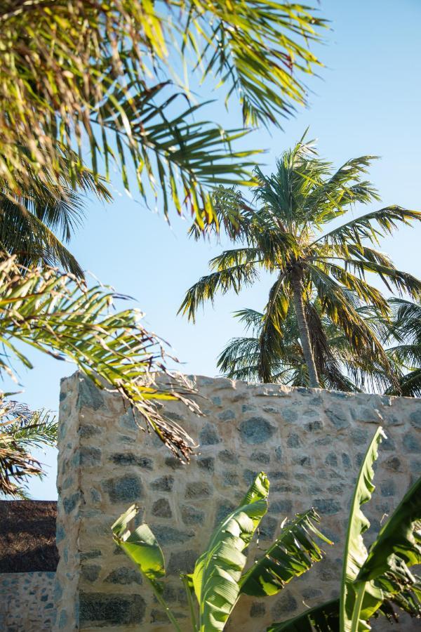 Alojamento de Turismo Selvagem Paru Boutique *